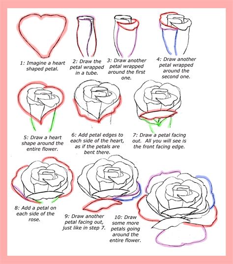 how to draw a rose flower step by step