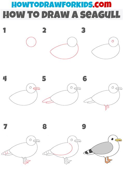 How to Draw a Seagull Head