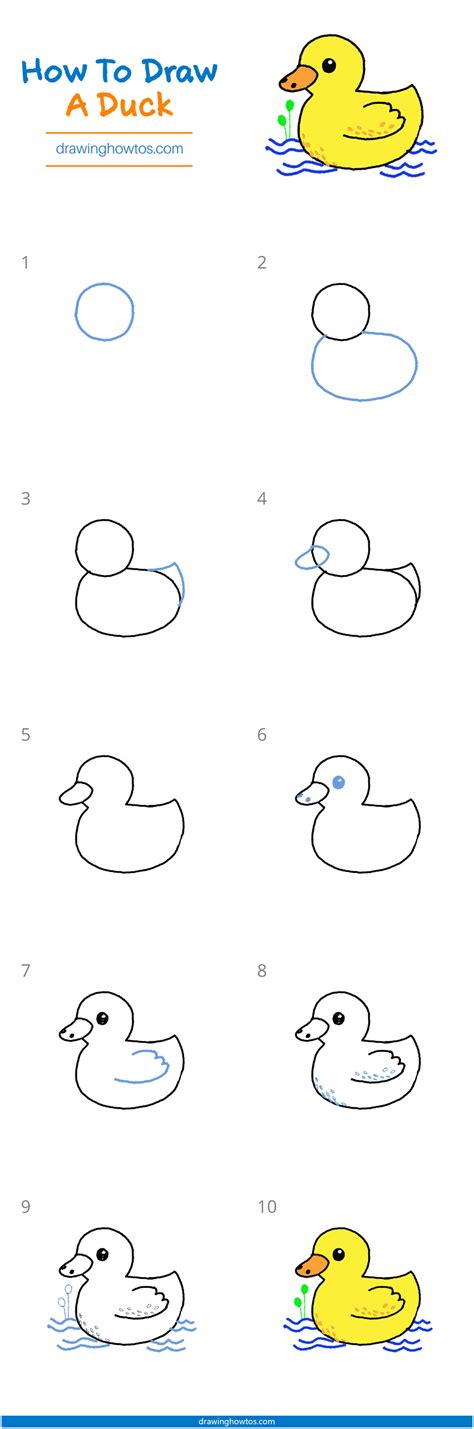 how to draw a simple duck step by step