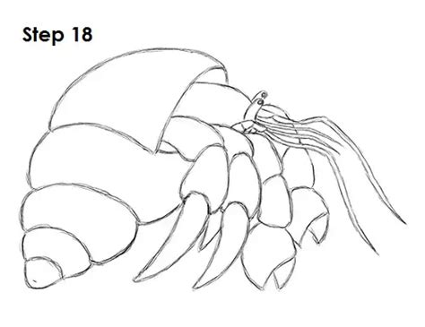 how to draw a simple hermit crab