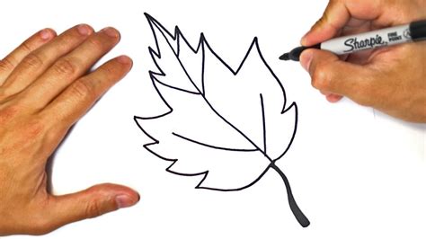 Simple Leaf Drawing at GetDrawings Free download