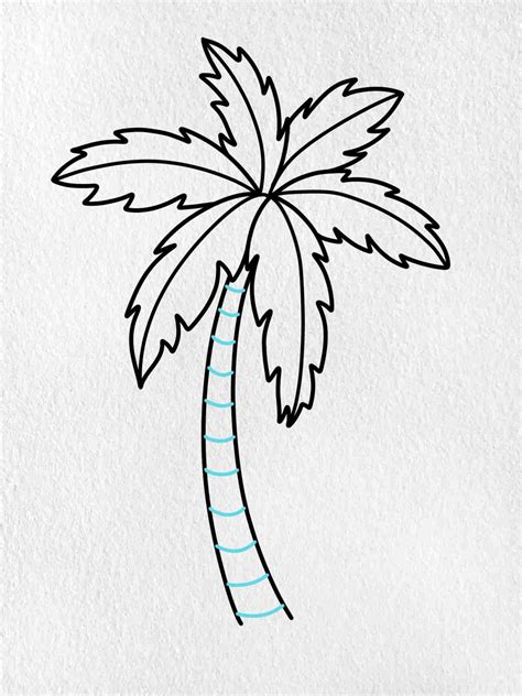 25K  Sample How To Draw A Simple Sketch Of A Palm Tree For Kids