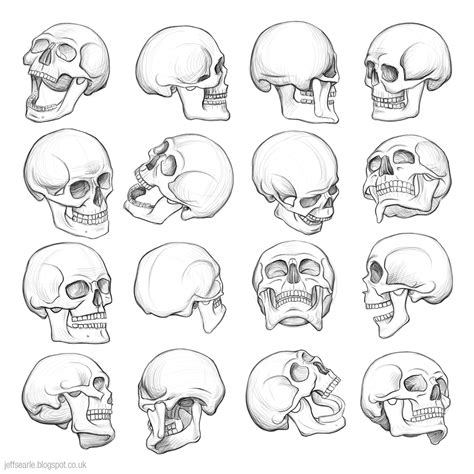 How to Draw a Skull in 3/4 View Really Easy Drawing Tutorial
