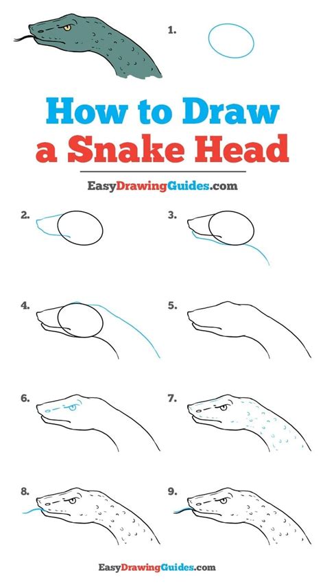Gallery For > Snake Head Sketch Realistic drawings