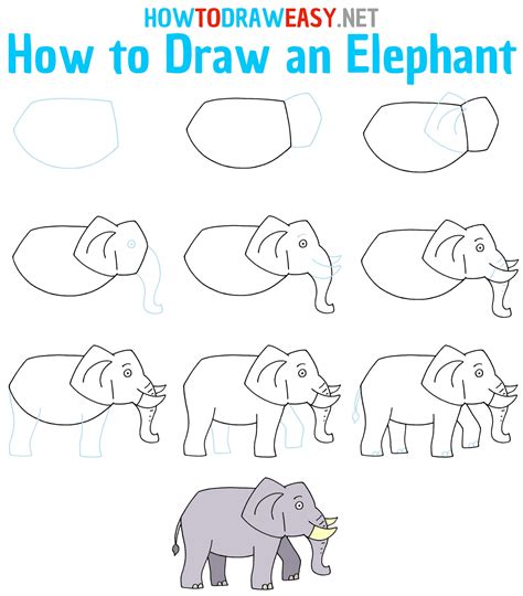 How To Draw A Step By Step Elephant