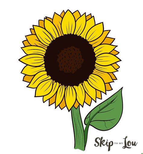 how to draw a sunflower picture