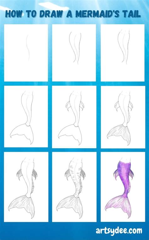 15+ How To Draw A Tail References