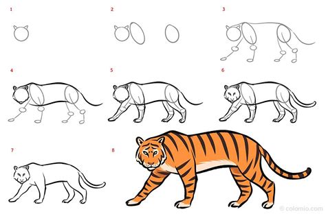 how to draw a tiger step by step for beginners