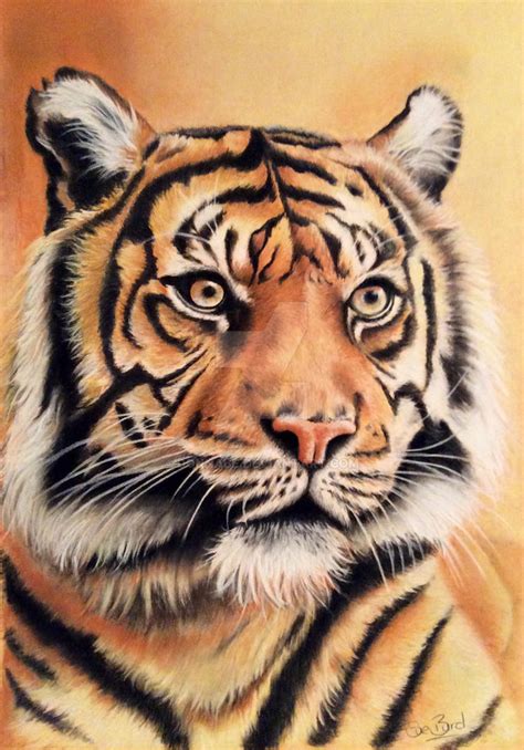 How to Draw a Tiger Portrait with just 6 Pastel Pencils