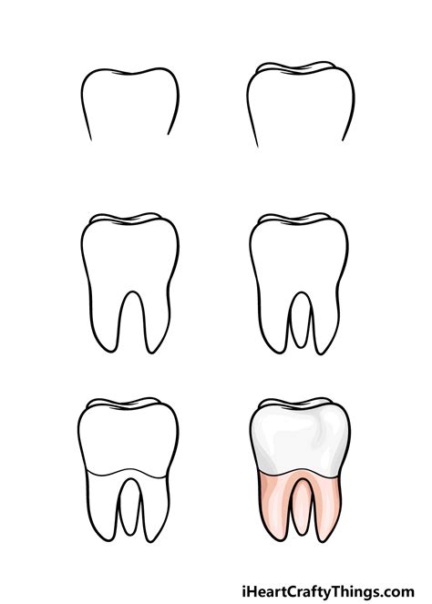 Tooth Drawing How To Draw A Tooth Step By Step