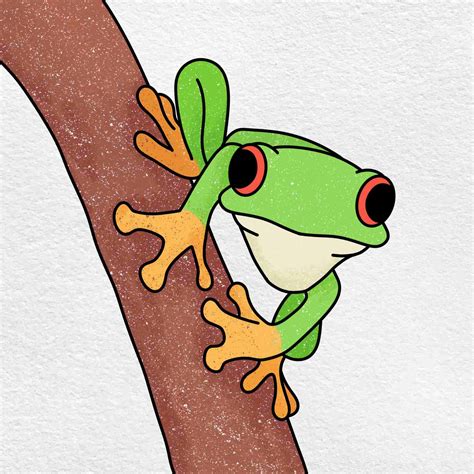 How To Draw A Tree Frog Art For Kids Hub