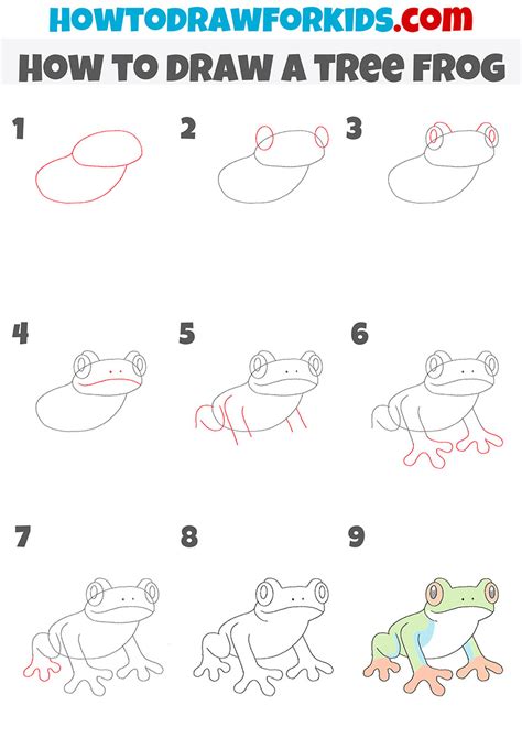 how to draw a tree frog step by step