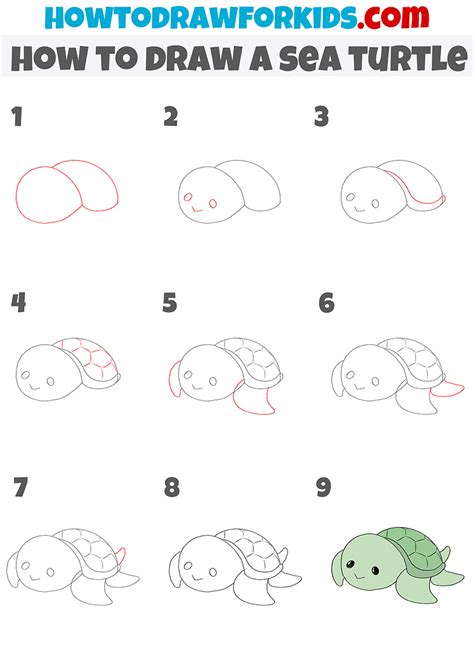 How To Draw A Turtle Step By Step Easy
