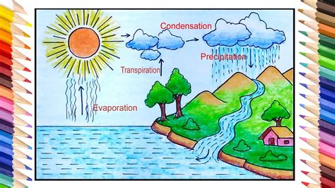 How do you draw the water cycle? Socratic