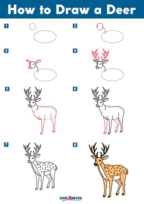 Fpencil How to draw Deer for kids step by step