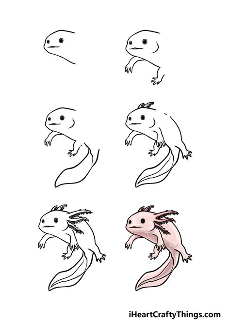 Easy Step Axolotl Drawing How To Draw An Axolotl Step By