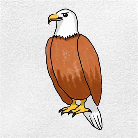 How to Draw a Bald Eagle · Art Projects for Kids