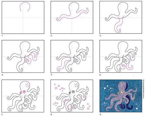How To Draw Octopus Pictures Octopus Step by Step