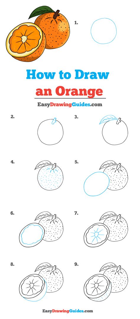 how to draw an orange