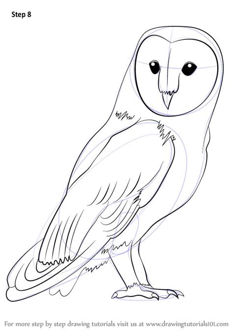 Image of two owls on a branch. Vector illustration. Owl
