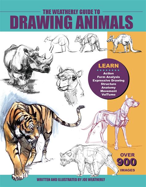 Drawing Animals Pdf at Explore
