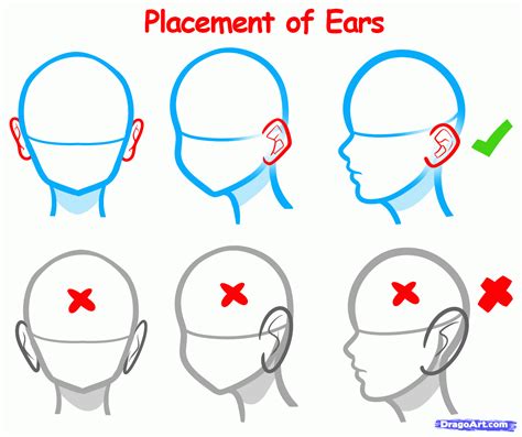 How to Draw Anime Ears, a Simple ThreeStep Guide GVAAT'S