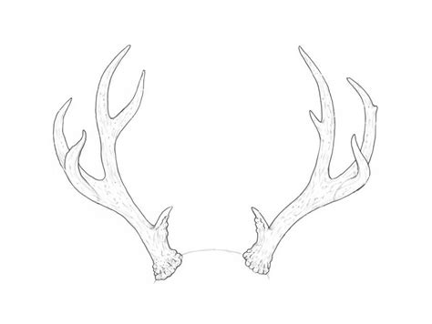 Antlers clipart outline, Antlers outline Transparent FREE