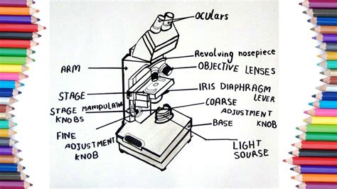 How To Draw Binocular Microscope Step By Step