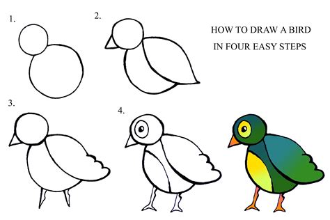 Learn How to Draw a Nightingale (Birds) Step by Step
