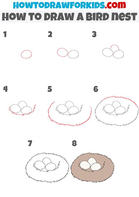 How To Draw Bird In A Nest