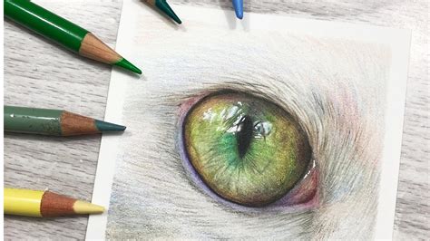 How to Draw Cat Eyes with Colored Pencil Carrie L. Lewis