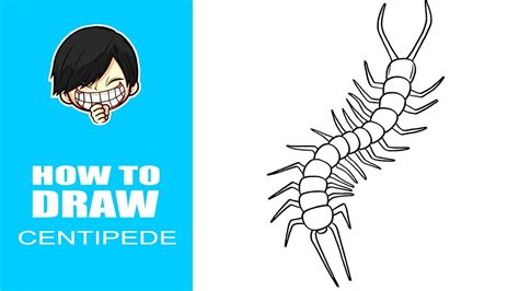 Centipede Drawing / Check out inspiring examples of
