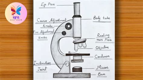 How To Draw Compound Microscope Step By Step
