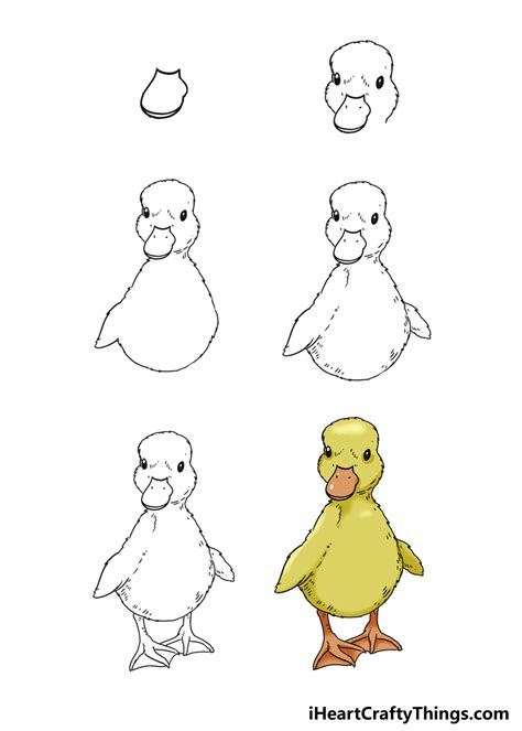 Learn How to Draw Ducklings (Farm Animals) Step by Step Drawing