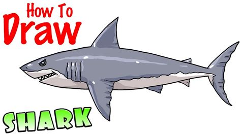 how to draw easy shark