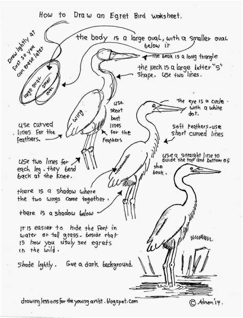 How to draw a snow egret Step by step Drawing tutorials