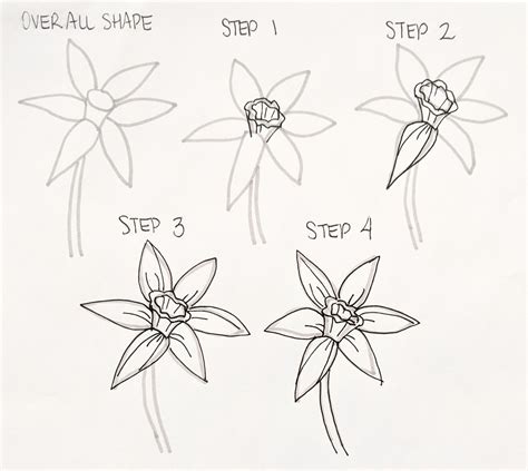 how to draw flowers step by step with pencil
