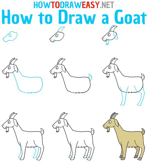 How To Draw A Goat Easy Tutorial Toons Mag