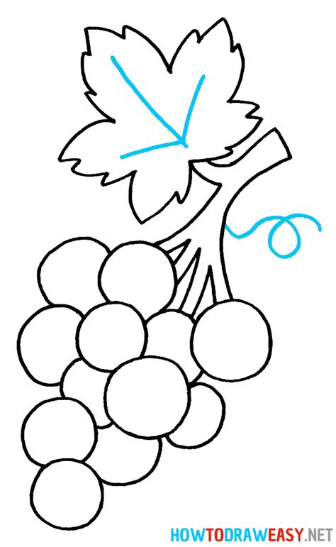 How To Draw Grapes