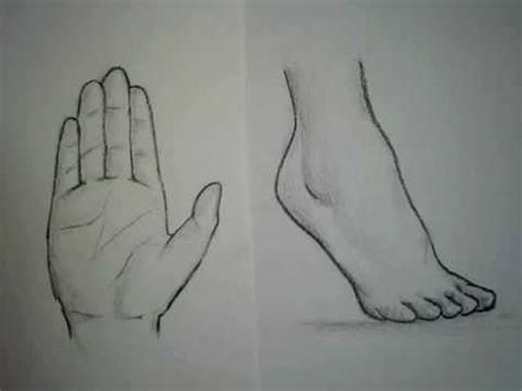 How to Draw The Techniques of Drawing Hands and Feet
