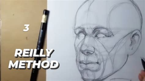 Best How To Draw Head Quick Sketch Using Reilly Method With Creative Ideas