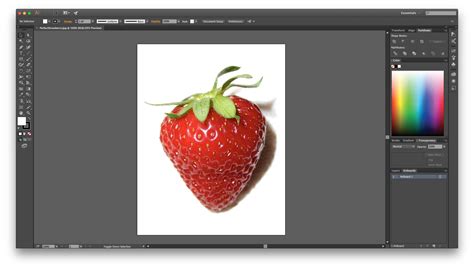 how to draw image in illustrator