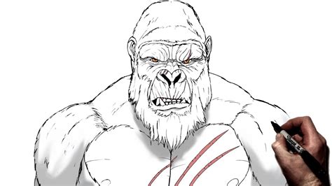 how to draw kong
