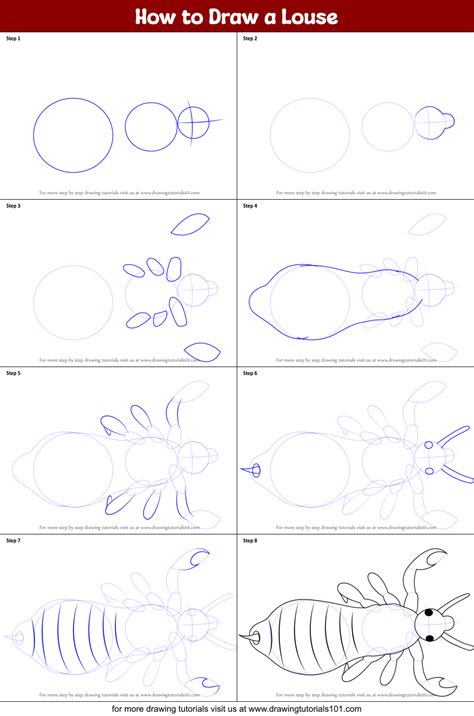 How To Draw Lice