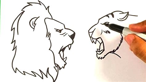 how to draw lion vs tiger