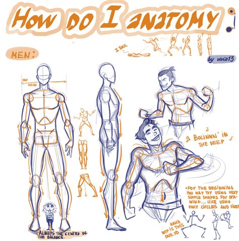 how to draw male anatomy anime