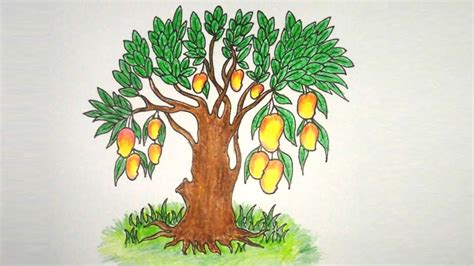 how to draw mango tree easy with pencil