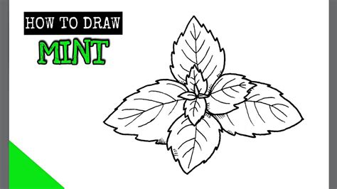 How To Draw Mint