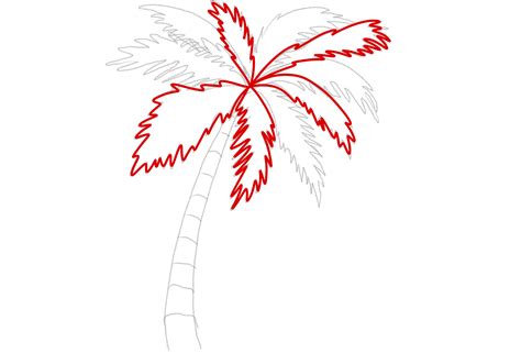 How To Draw Palm Tree In Illustrator