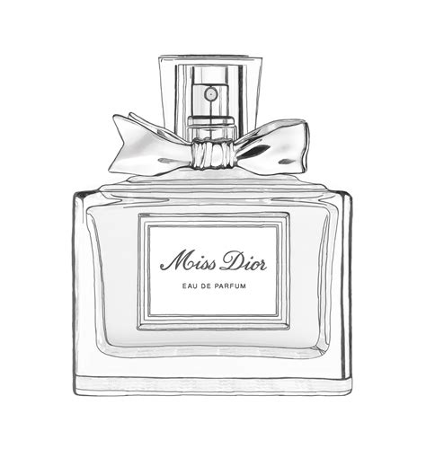 Perfume bottle drawing Google Search Chanel perfume